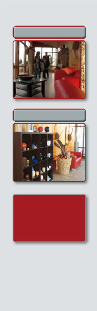 Tierkrematorium Himmelswelt Video